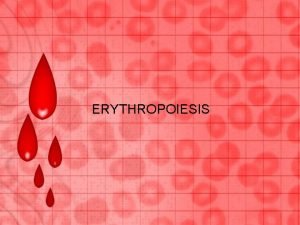 ERYTHROPOIESIS In adults liver and spleen produce RBCs