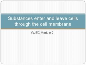 How do substances enter and leave a cell