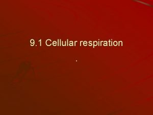 Formula for lactic acid fermentation