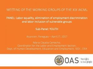 MEETING OF THE WORKING GROUPS OF THE XIX