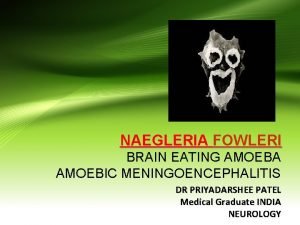 NAEGLERIA FOWLERI BRAIN EATING AMOEBA AMOEBIC MENINGOENCEPHALITIS DR