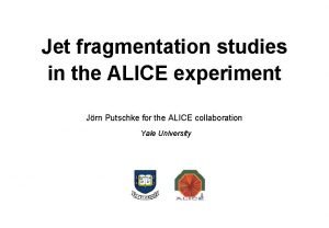 Jet fragmentation studies in the ALICE experiment Jrn