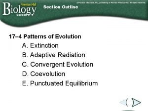 Section 17-4 patterns of evolution