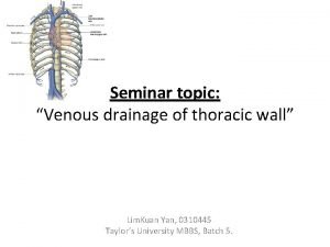 Venous drainage of thoracic wall