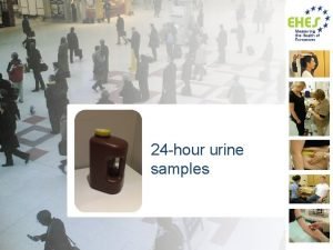 24 hour urine samples Based on EHES Manual