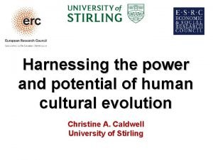 Harnessing the power and potential of human cultural