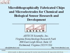 Microlithographically Fabricated Chips and Microelectrodes for Chemical and