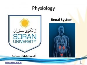 Physiology Renal System Behrouz Mahmoudi www soran edu