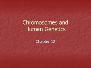 Chromosomes and Human Genetics Chapter 12 Chromosomes Cancer