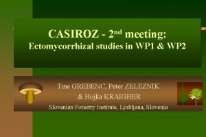 CASIROZ nd 2 meeting Ectomycorrhizal studies in WP