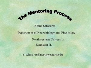 Northwestern neurobiology