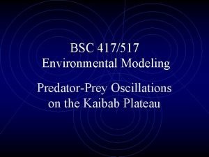BSC 417517 Environmental Modeling PredatorPrey Oscillations on the