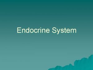 Endocrine System Endocrine and Exocrine u Endocrine functions