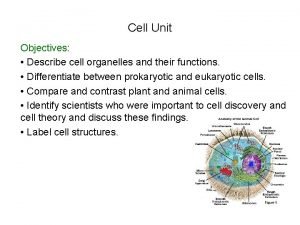 7 parts of a cell