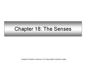 Chapter 18 The Senses Types of Sensory Receptors