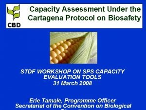 CBD Capacity Assessment Under the Cartagena Protocol on