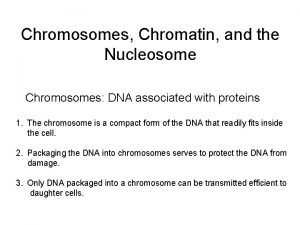 Chromosomes Chromatin and the Nucleosome Chromosomes DNA associated