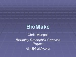 Bio Make Chris Mungall Berkeley Drosophila Genome Project