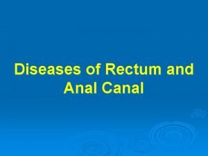 Diseases of Rectum and Anal Canal Anatomy I