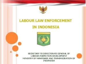 Director of labour market enforcement