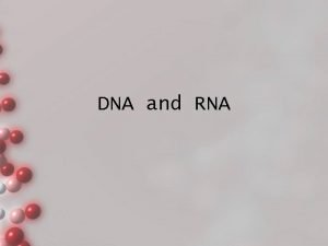 DNA and RNA Deoxyribonucleic acid DNA is made