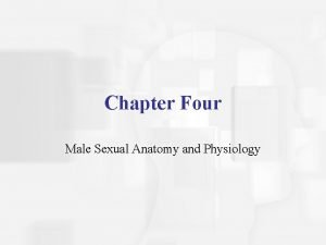 Chapter Four Male Sexual Anatomy and Physiology The