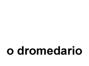 o dromedario Os dromedarios estn domesticados desde hai