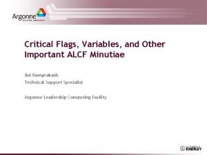 Critical Flags Variables and Other Important ALCF Minutiae