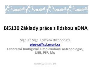 Bi 5130 Zklady prce s lidskou a DNA