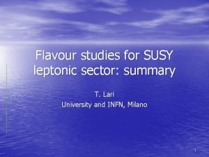 Flavour studies for SUSY leptonic sector summary T