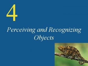 4 Perceiving and Recognizing Objects Introduction What do