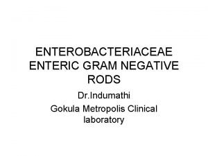 Enteric gram negative rods