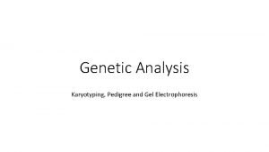 Genetic Analysis Karyotyping Pedigree and Gel Electrophoresis Vocabulary