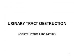 URINARY TRACT OBSTRUCTION OBSTRUCTIVE UROPATHY 1 Hydronephrosis is