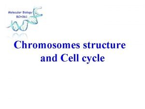Chromosomes structure and Cell cycle Genetic Material in