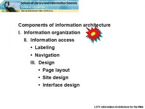Information architecture organization schemes