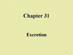 Chapter 31 Excretion 1 Excretion is the getting