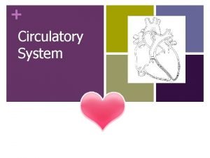 Circulatory system trivia