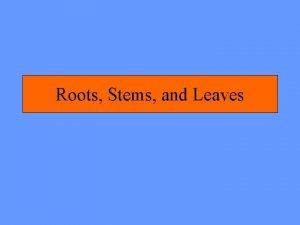 Roots Stems and Leaves Specialized Tissues in Plants