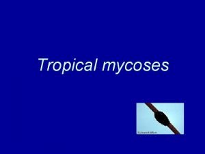 Tropical mycoses Classification of Mycoses The clinical nomenclatures