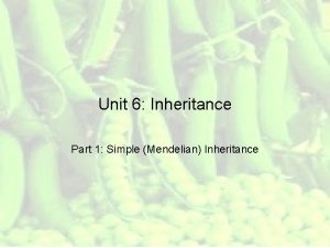 Unit 6 Inheritance Part 1 Simple Mendelian Inheritance