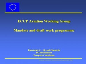 ECCP Aviation Working Group Mandate and draft work
