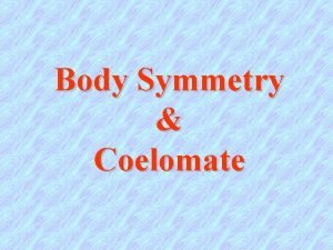 Body Symmetry Coelomate Symmetrical Acoelomate no mesoderm Pseudocoelomate