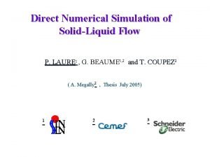 Direct Numerical Simulation of SolidLiquid Flow P LAURE