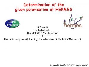 Determination of the gluon polarisation at HERMES N