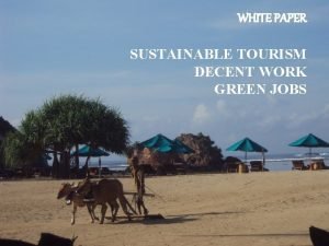 Sustainable tourism consultant jobs