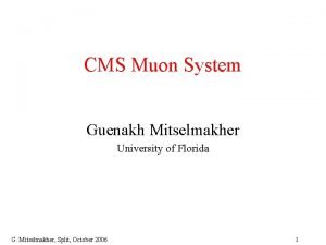 CMS Muon System Guenakh Mitselmakher University of Florida