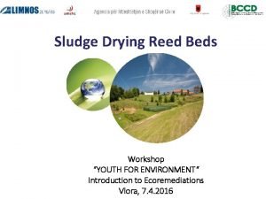 Sludge Drying Reed Beds Rastlinske istilne naprave Ekoremediacije