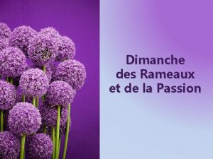 Dimanche des Rameaux et de la Passion Prendre