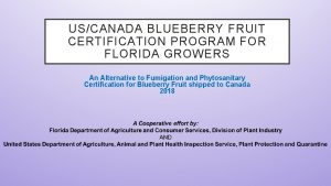 USCANADA BLUEBERRY FRUIT CERTIFICATION PROGRAM FOR FLORIDA GROWERS